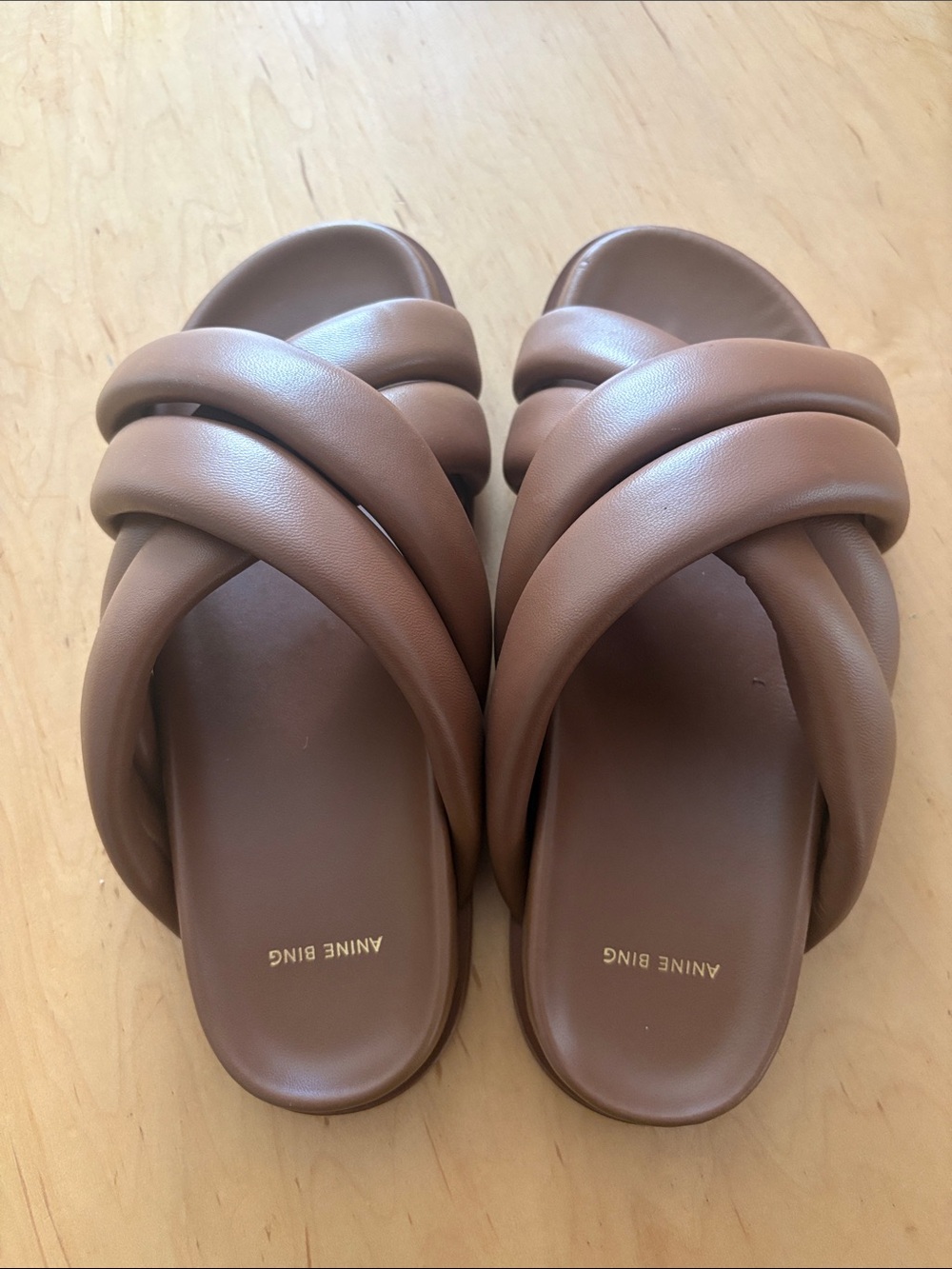 Anine Bing Lizzie Slides Size 39
